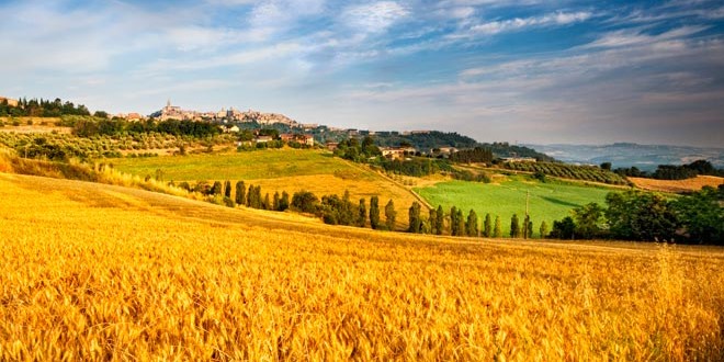 agricoltura decreto mutualizzazioni