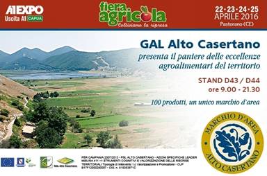 gal alto casertano