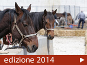 gallery-edizione-2013