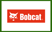 bobcat